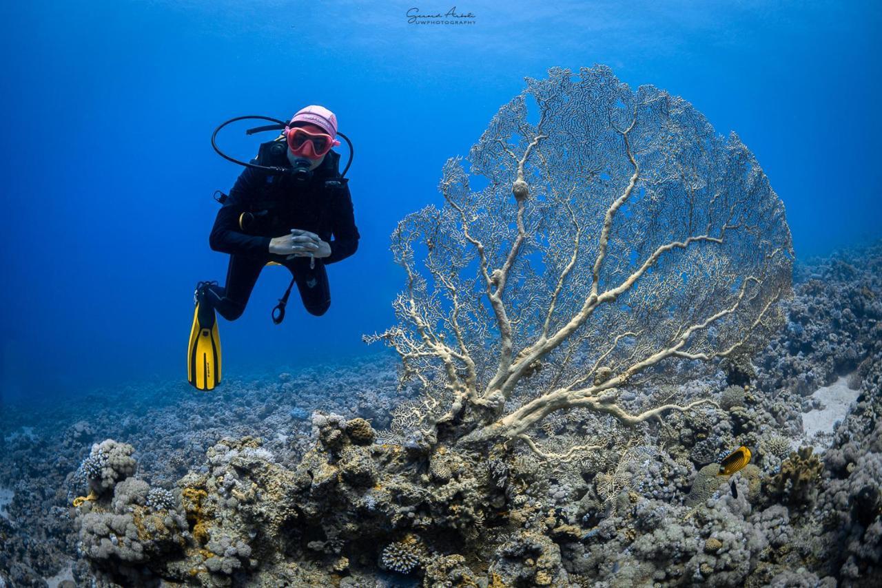 Bait Alaqaba Dive Center & Resort Экстерьер фото