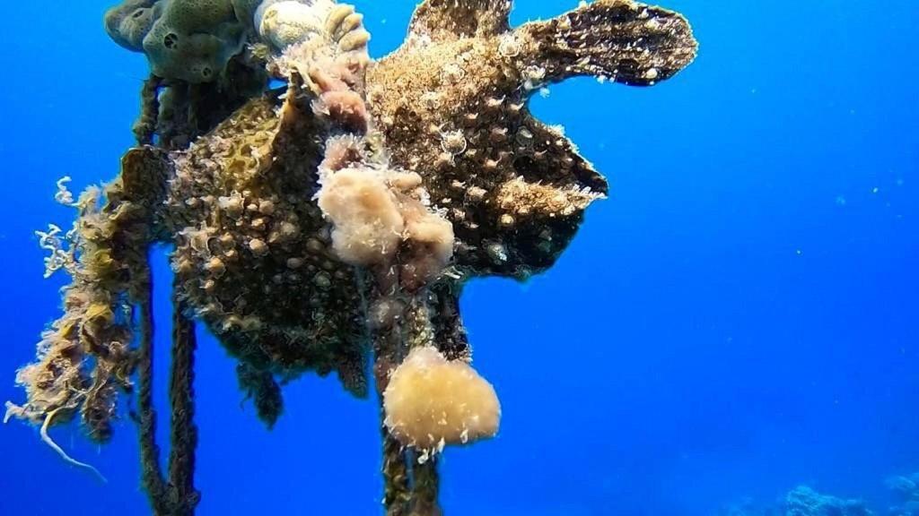 Bait Alaqaba Dive Center & Resort Экстерьер фото